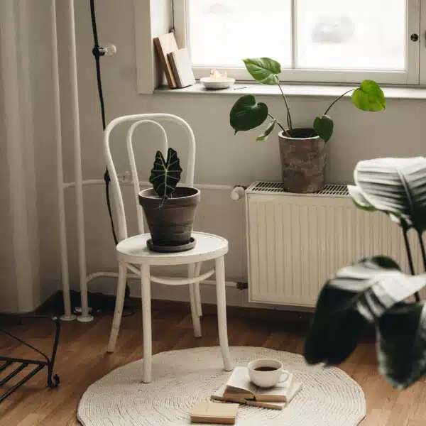 Kierre-matto vaaleassa olohuoneessa, jonka ympärillä on kasveja ja kirjoja.